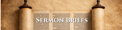Sermon Briefs