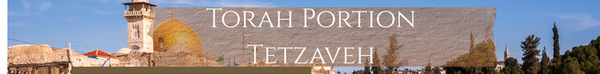 Tetzaveh  |  You Shall Command תְּצַוֶּה