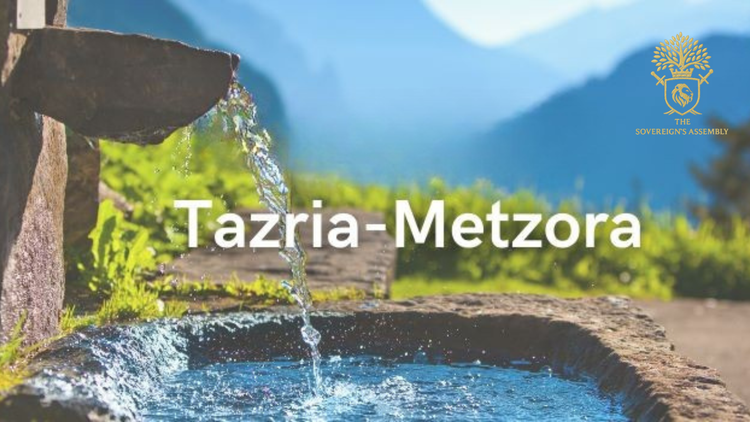 Tazria–Metzora | Conceived – Leper |  תַזְרִיעַ־מְּצֹרָע