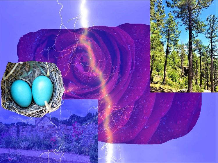 Flagstaff Rain, English Gardens, and the Fragrance of Ecology