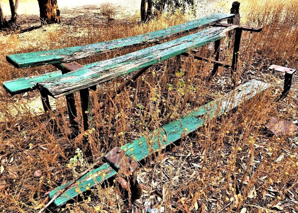 Urban Park Culture: Celebrating the City Park Environment