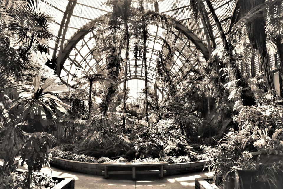 The Botanical Building of Balboa Park: Reflections