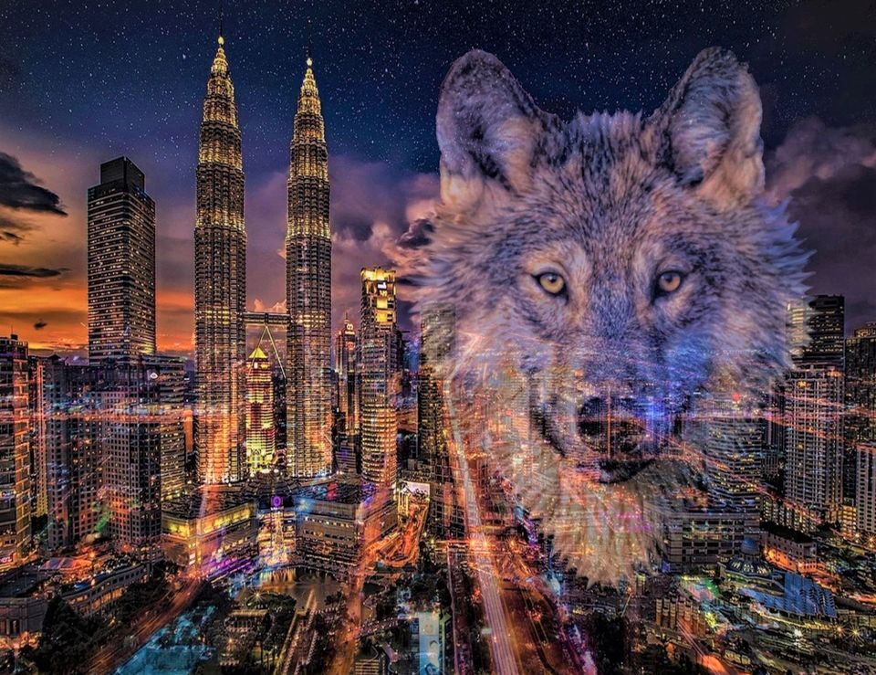 Night Wolves: A Few Digressions