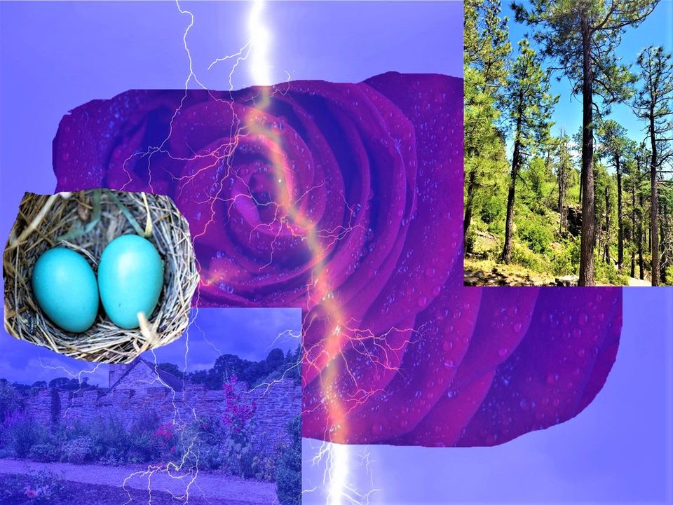 Flagstaff Rain, English Gardens, and the Fragrance of Ecology