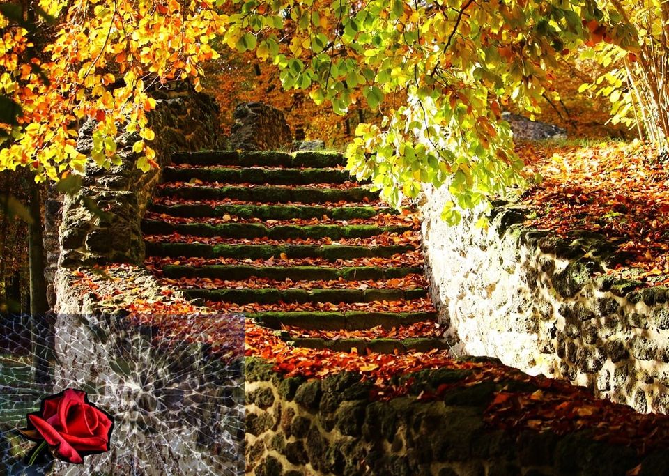 An Ascent: Considering the Shadows of a Stone Staircase