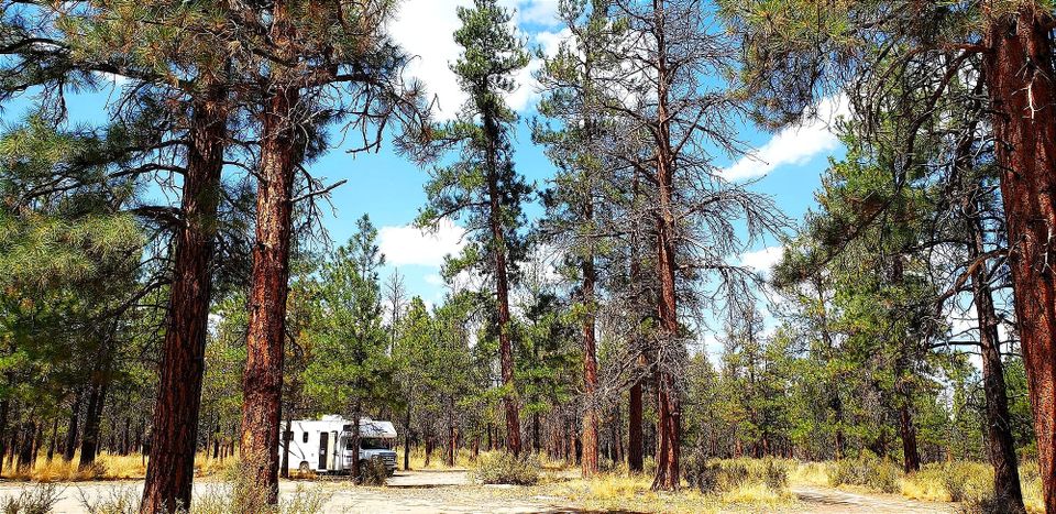 The Aesthetics of Adventure