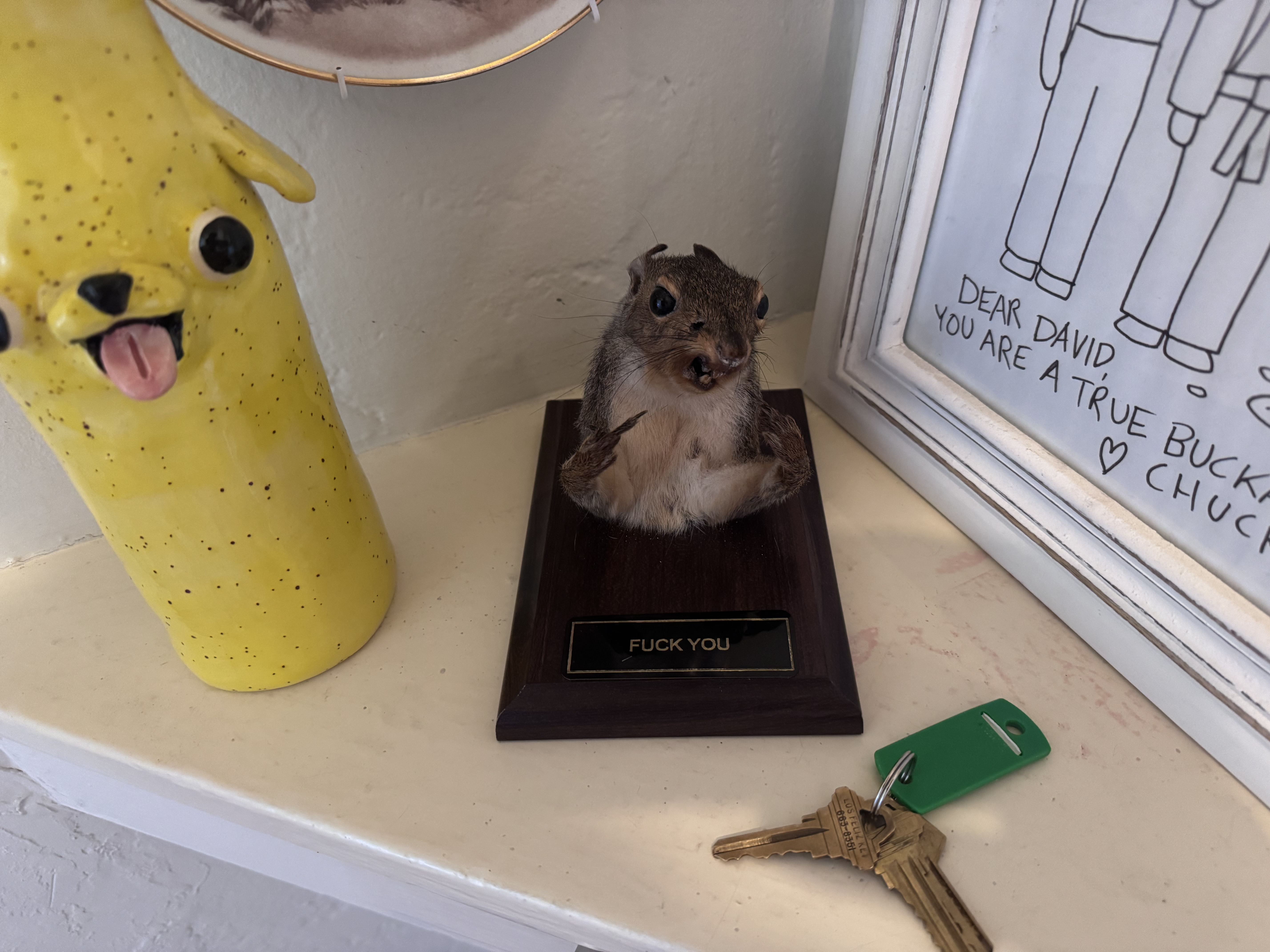 Squirrel in my lobby