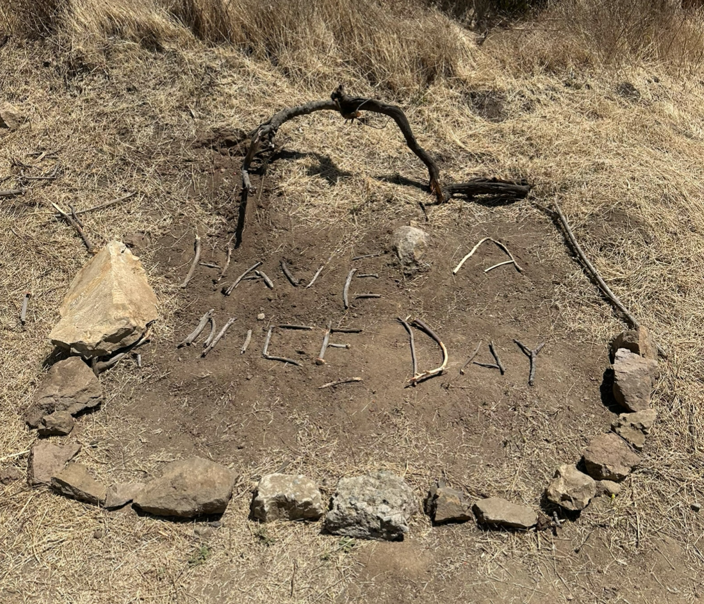 "HAVE A NICE DAY" written in sticks on the ground