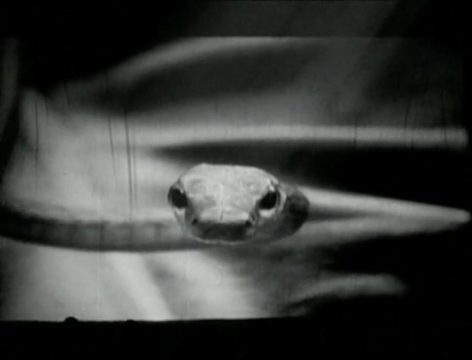 The snake in the Hurt video