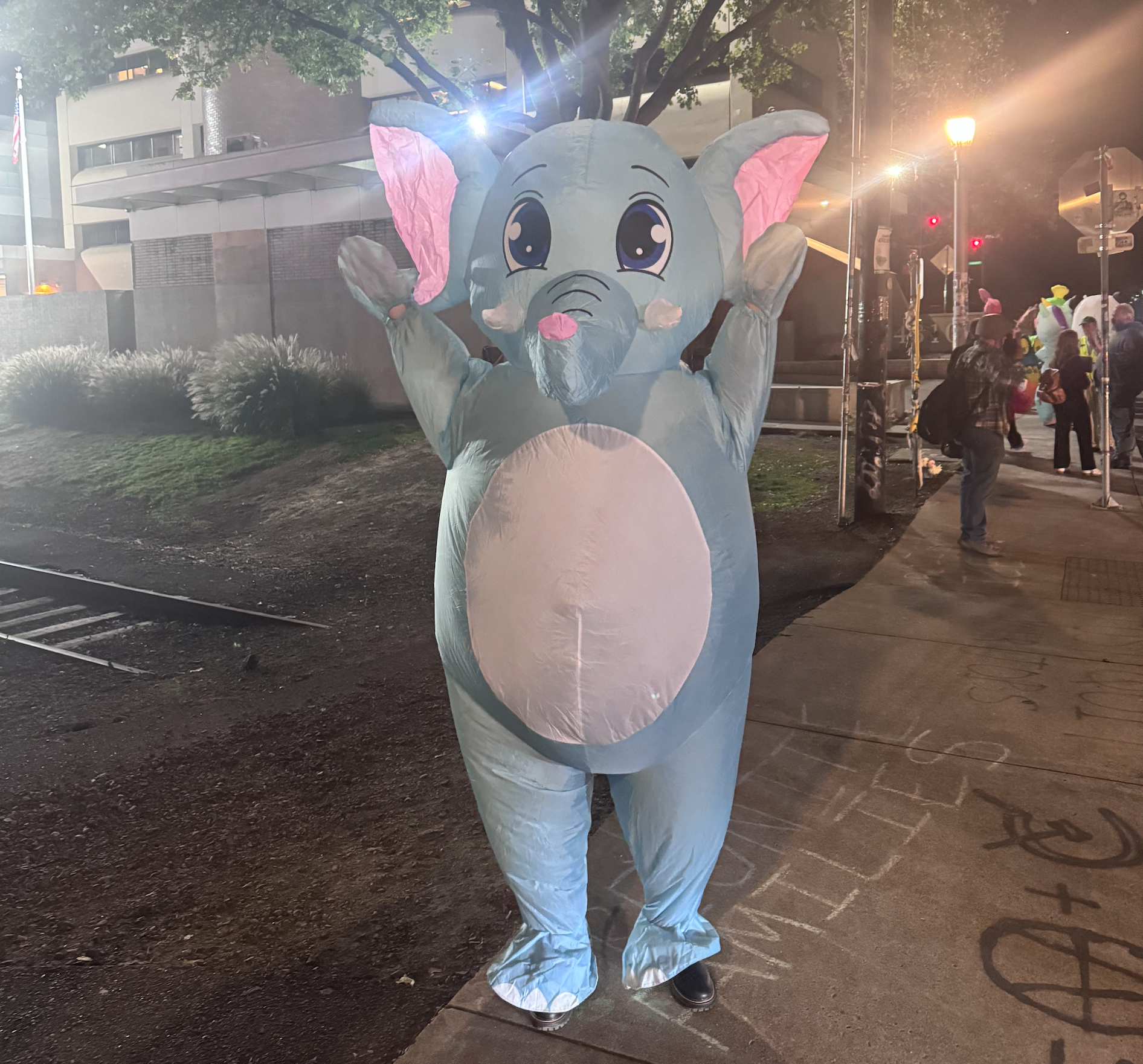 An elephant costume