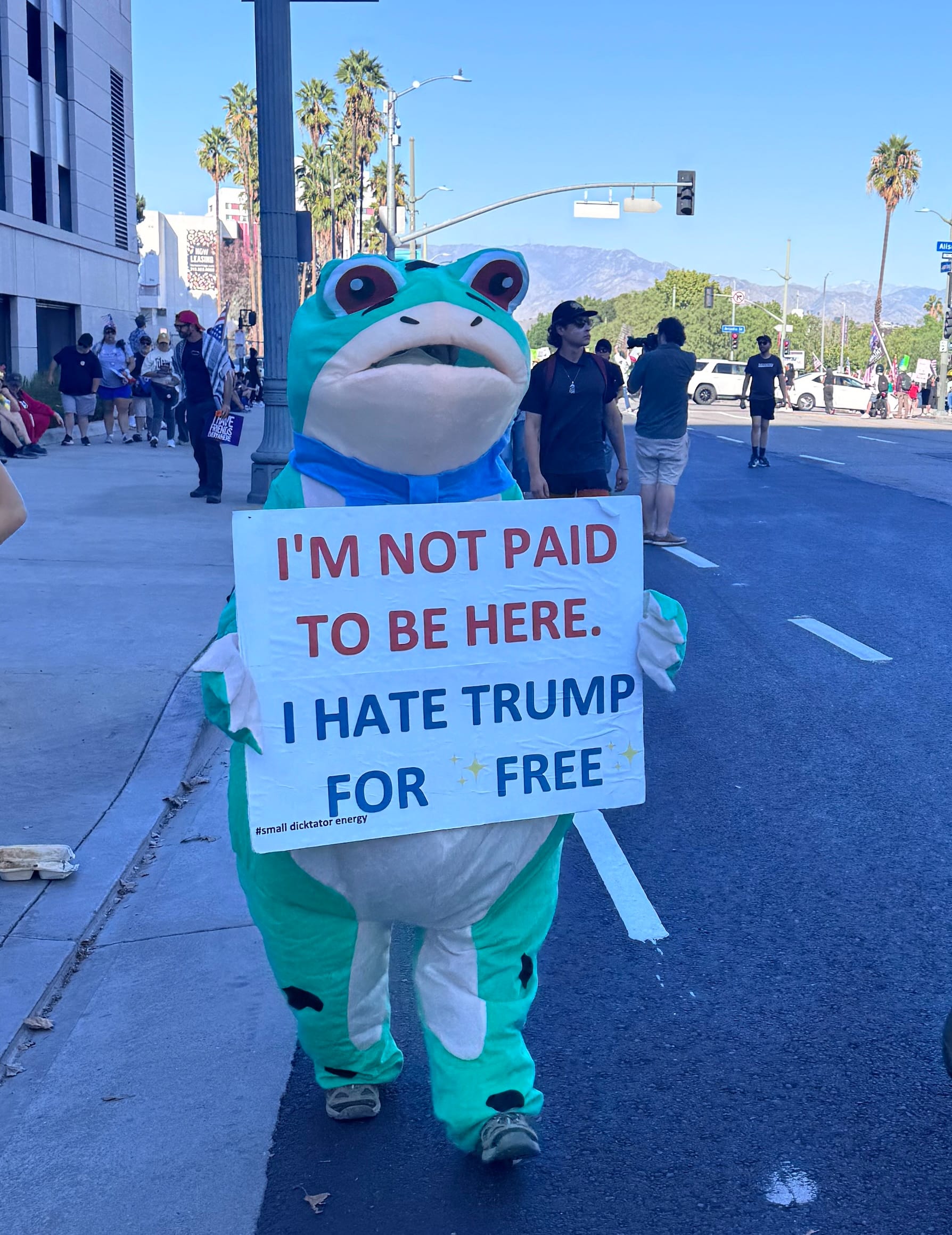 Person in inflatable frog costume
