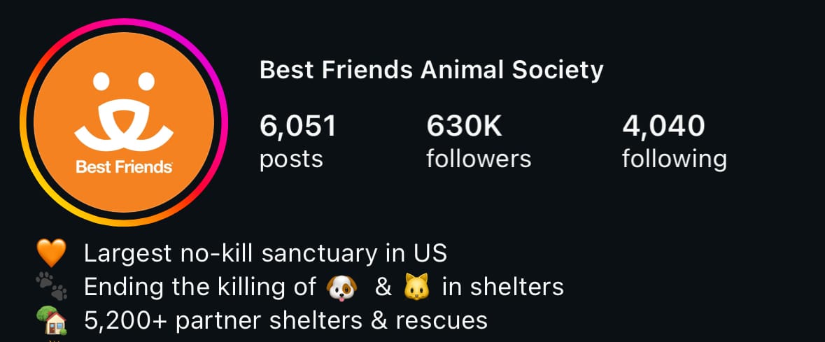 Best Friends on Instagram