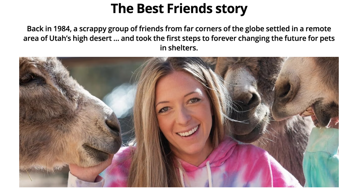 "Back in 1984, a scrappy group of friends from far corners of the globe settled in a remote area of Utah’s high desert … and took the first steps to forever changing the future for pets in shelters."