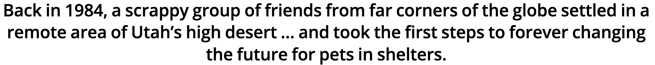 Back in 1984, a scrappy group of friends from far corners of the globe settled in a remote area of Utah’s high desert … and took the first steps to forever changing the future for pets in shelters.