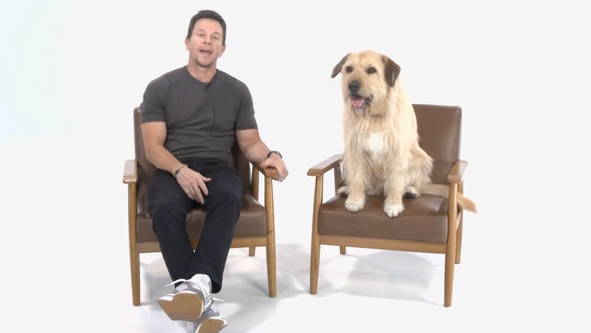 Mark Wahlberg advertising Best Friends