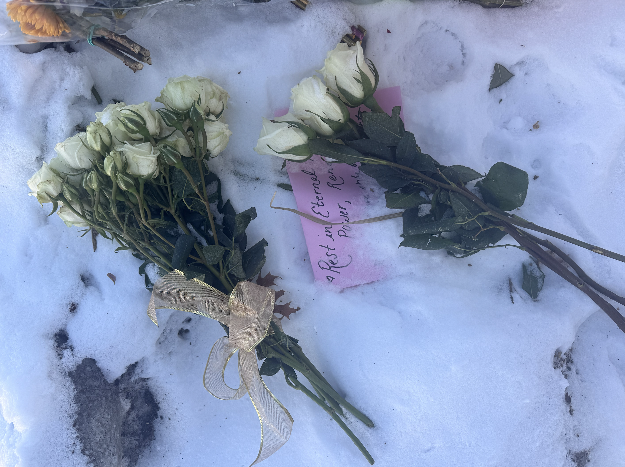 Flowers on the ground