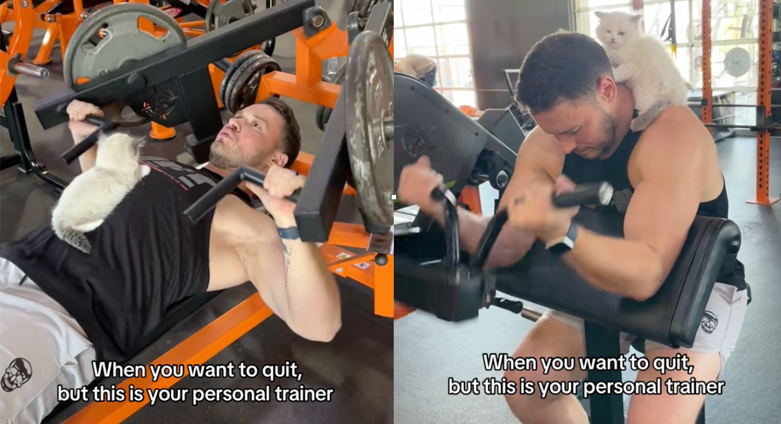 Man working out with the cat again!