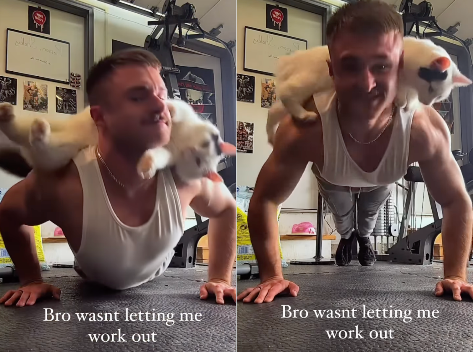 Man doing press ups with cat on his back