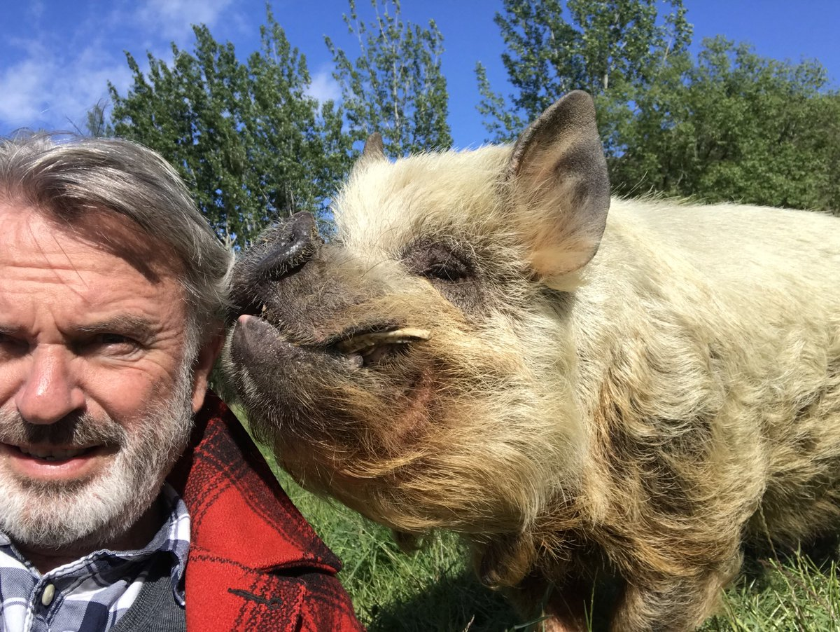Sam with pig