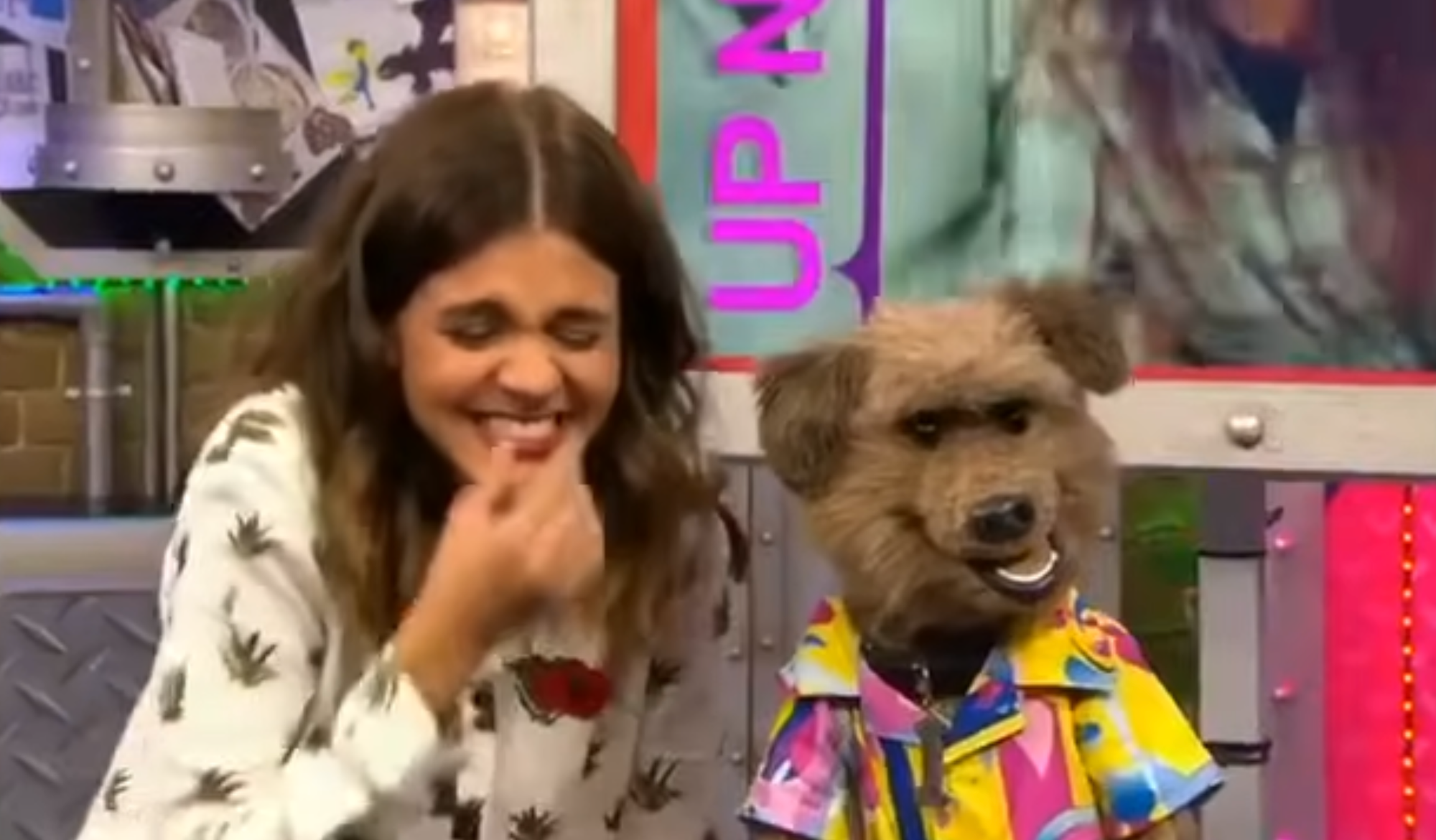 Hosts laughing