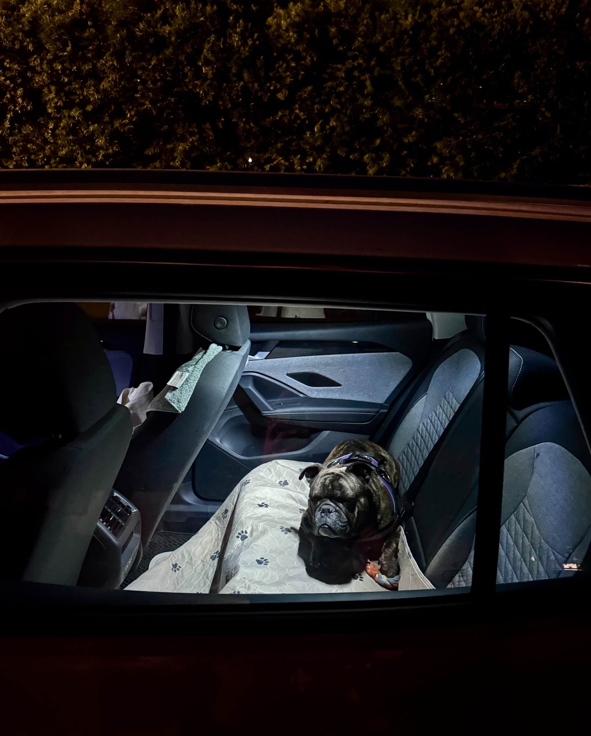 Alan in car