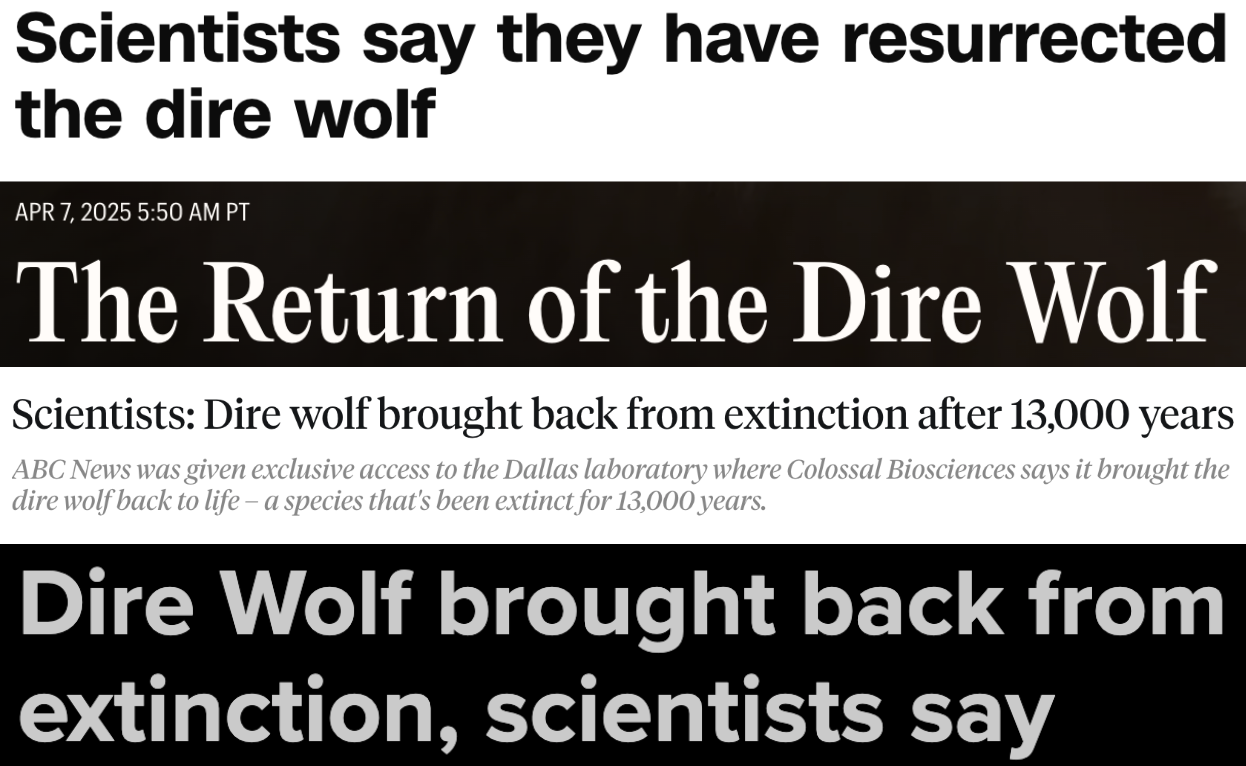 Headlines about resurrected dire wolf