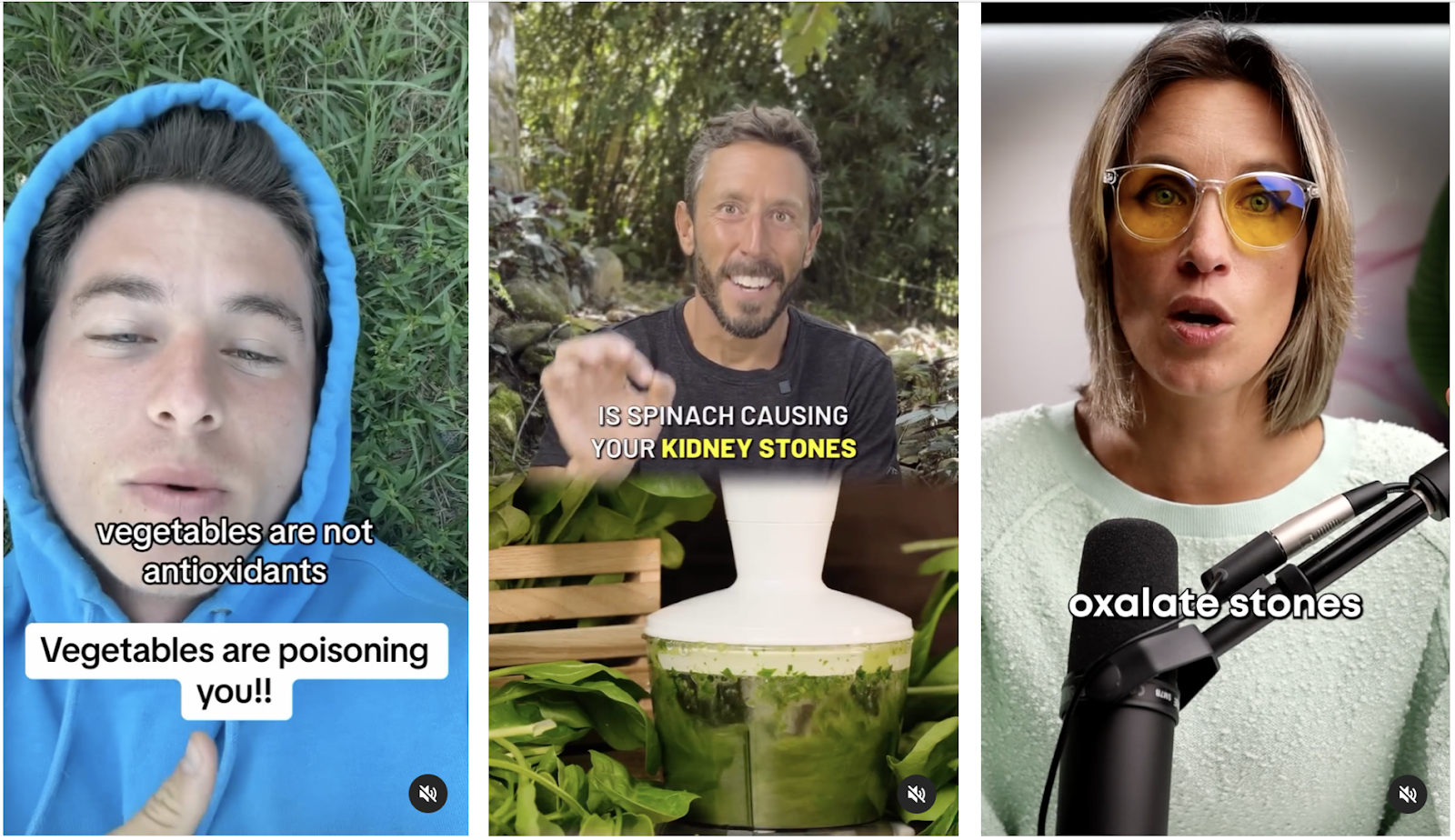 A lot of influencers talking about kidney stones