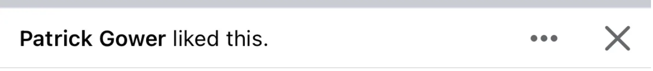 "Patrick Gower Liked This"