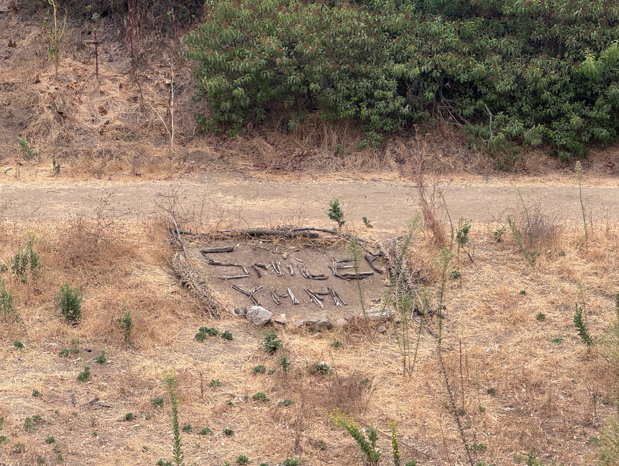Another case of smile written in sticks