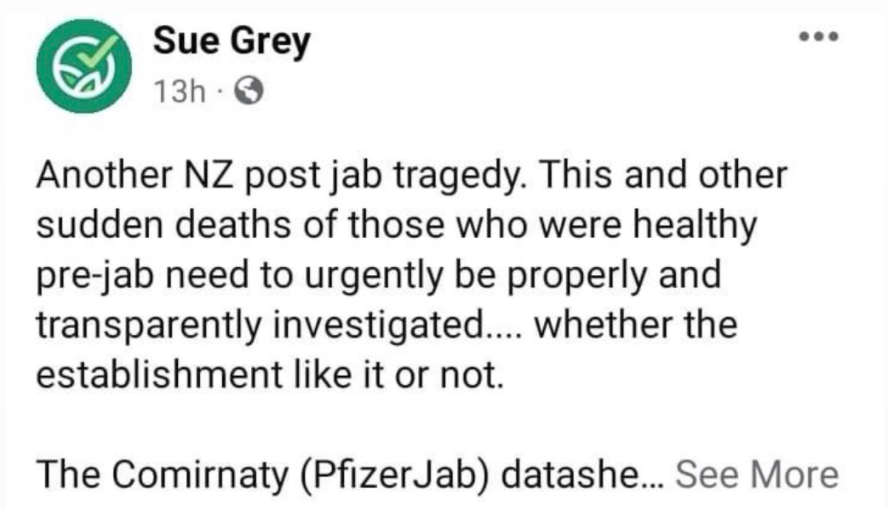 NZ lawyer Sue Grey falsely claiming a New Zealander who’s recently passed away had died because of the vaccine