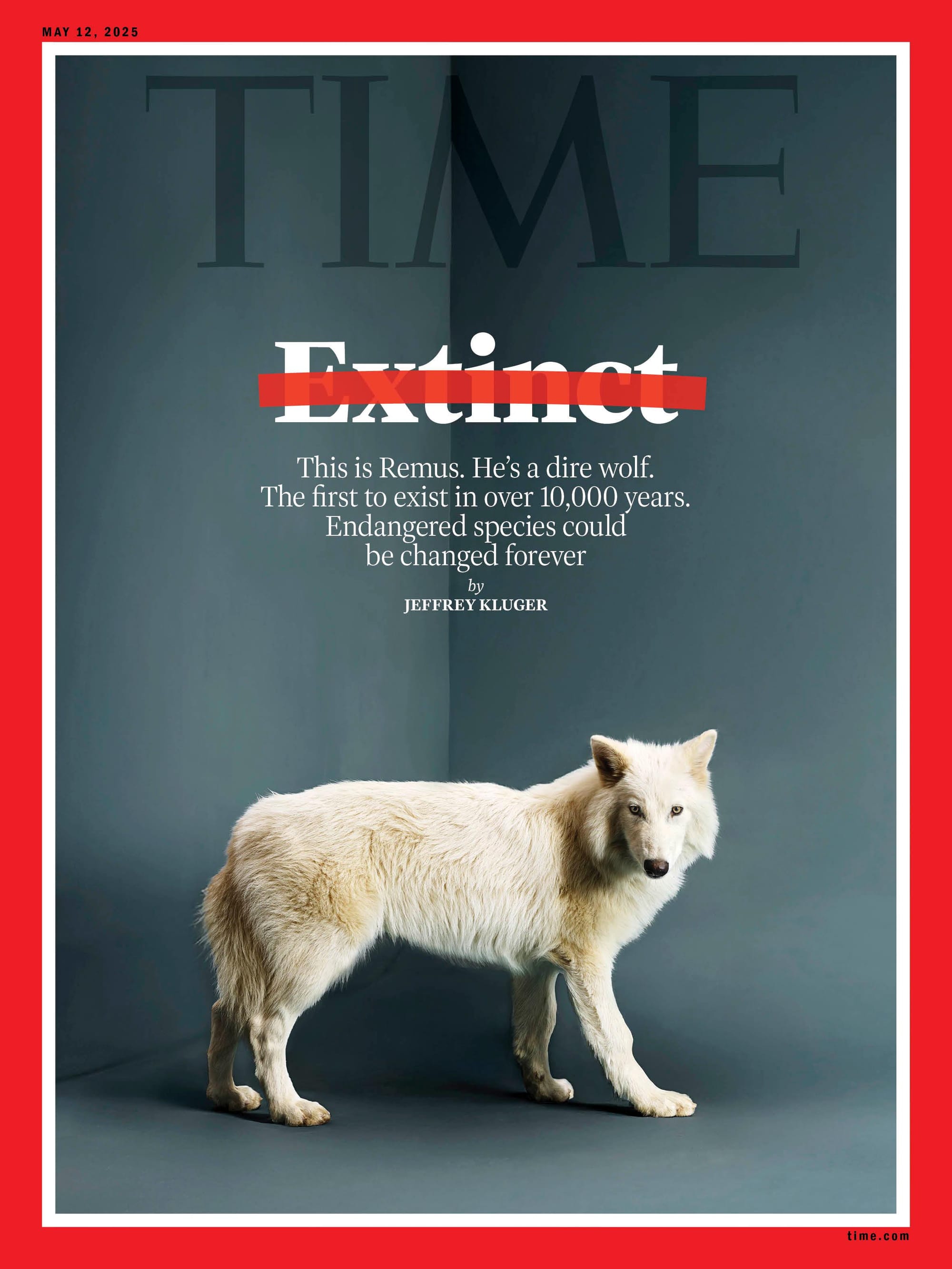 Dire Wolf Time Magazine cover