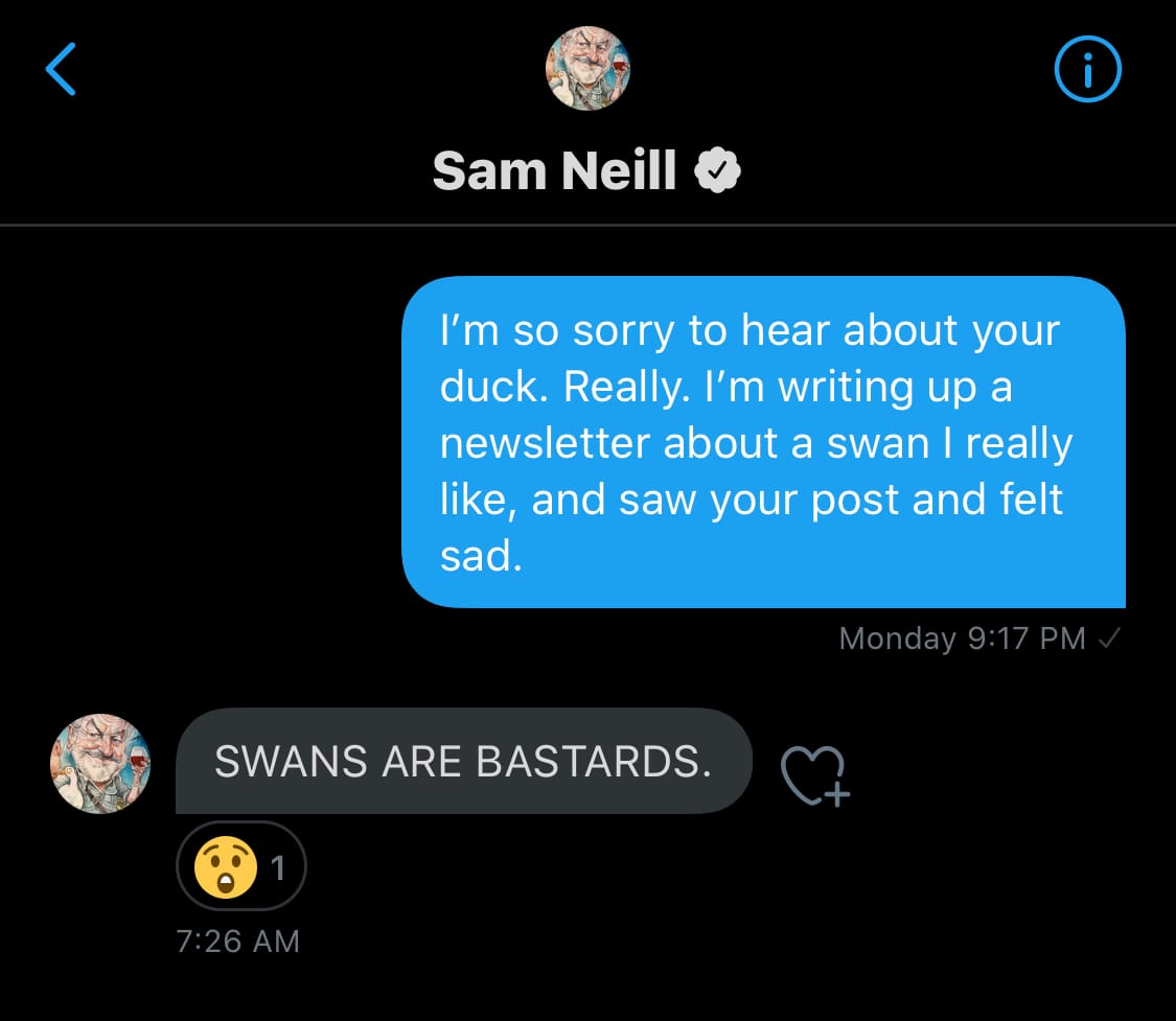 "Swans are bastards"