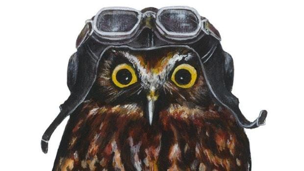 Josh Drummond's art of an own in a hat