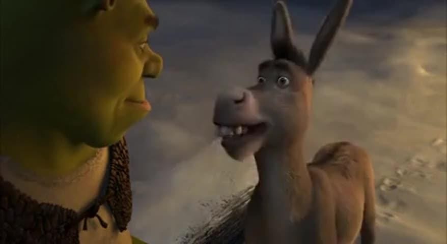 Donkey!
