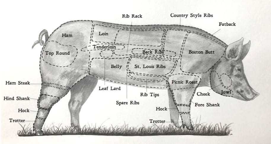 The parts of a pig