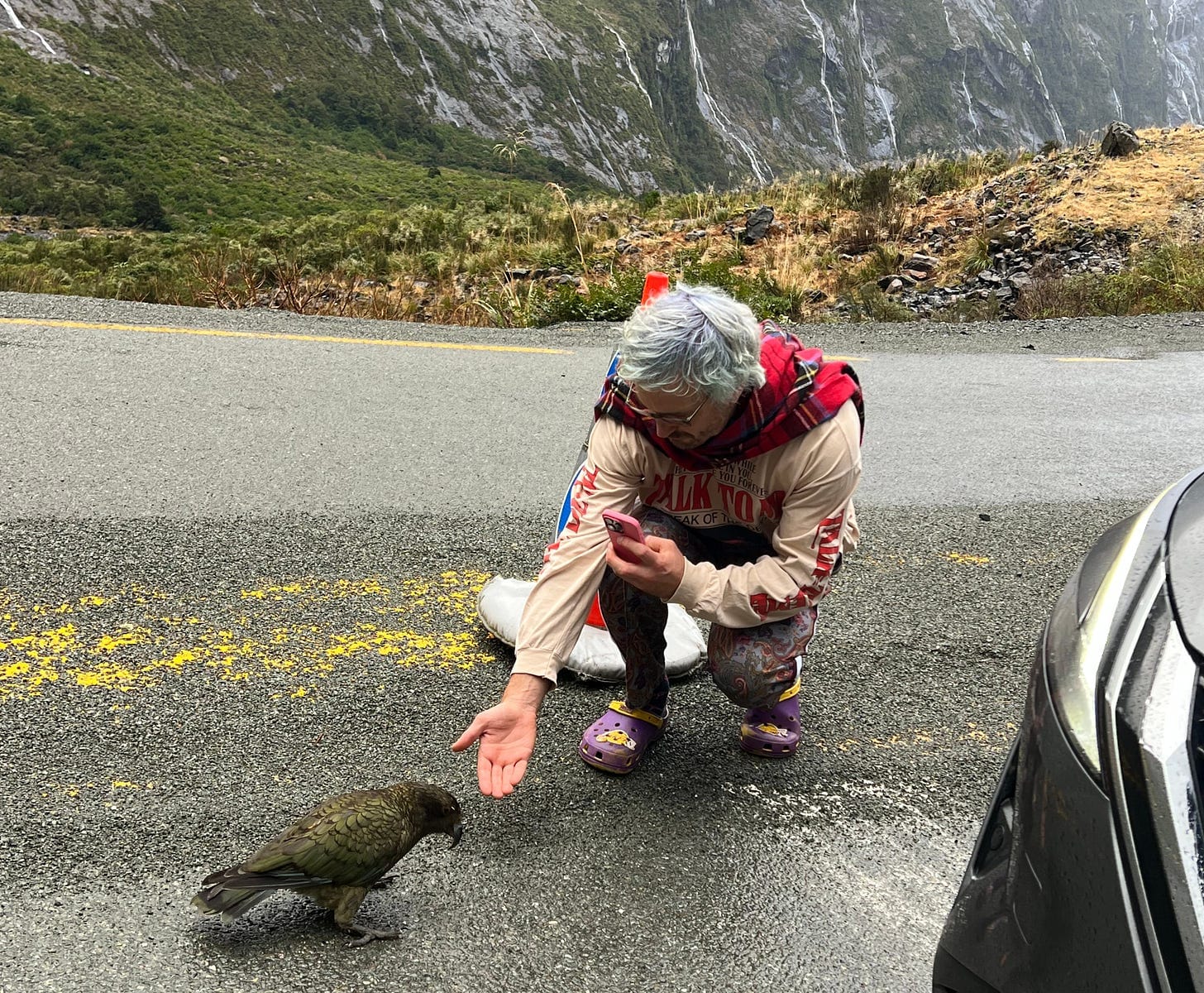 Me reaching down to a big kea parrot in New Zealand