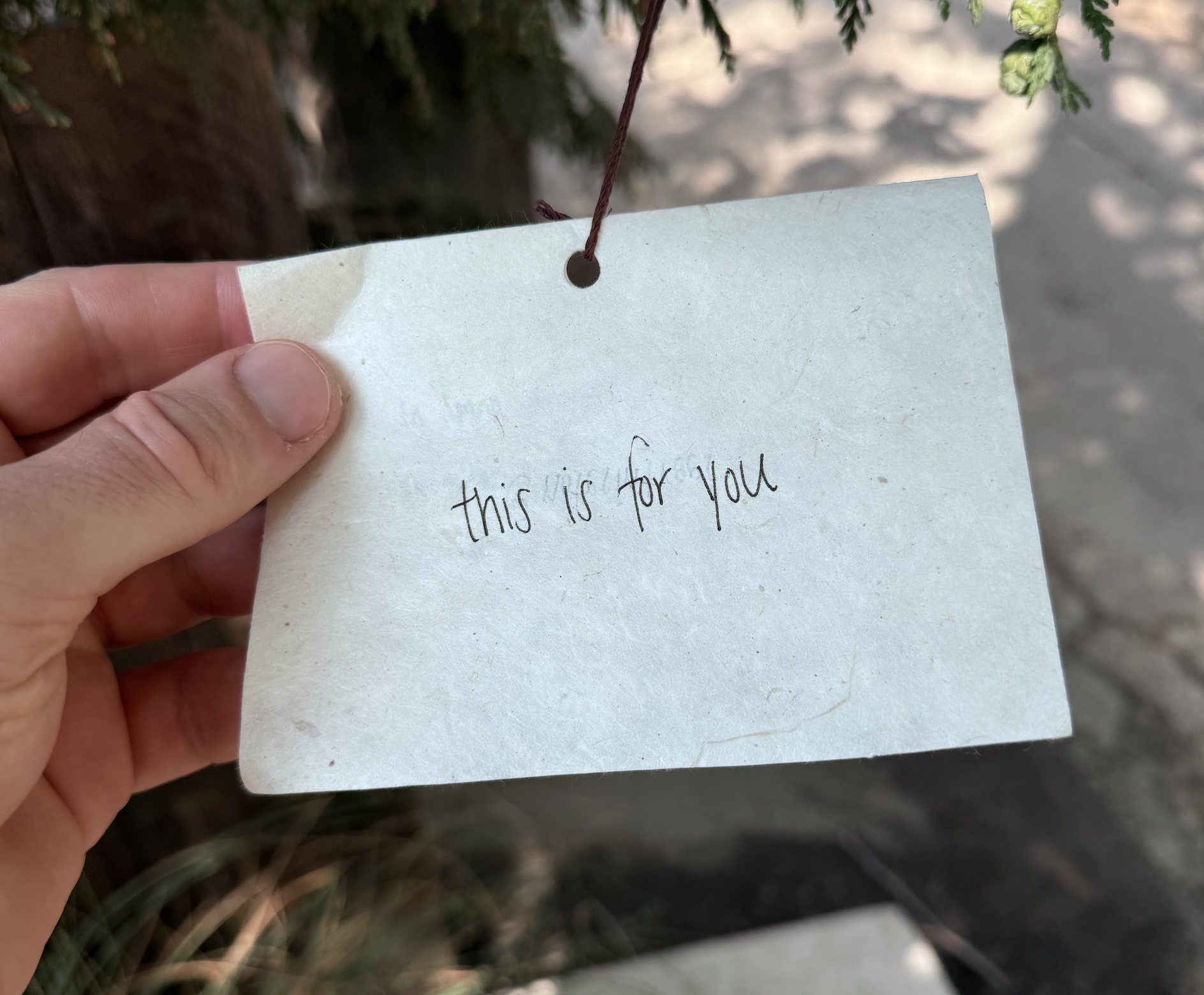 A note in a tree saying "This is for you"