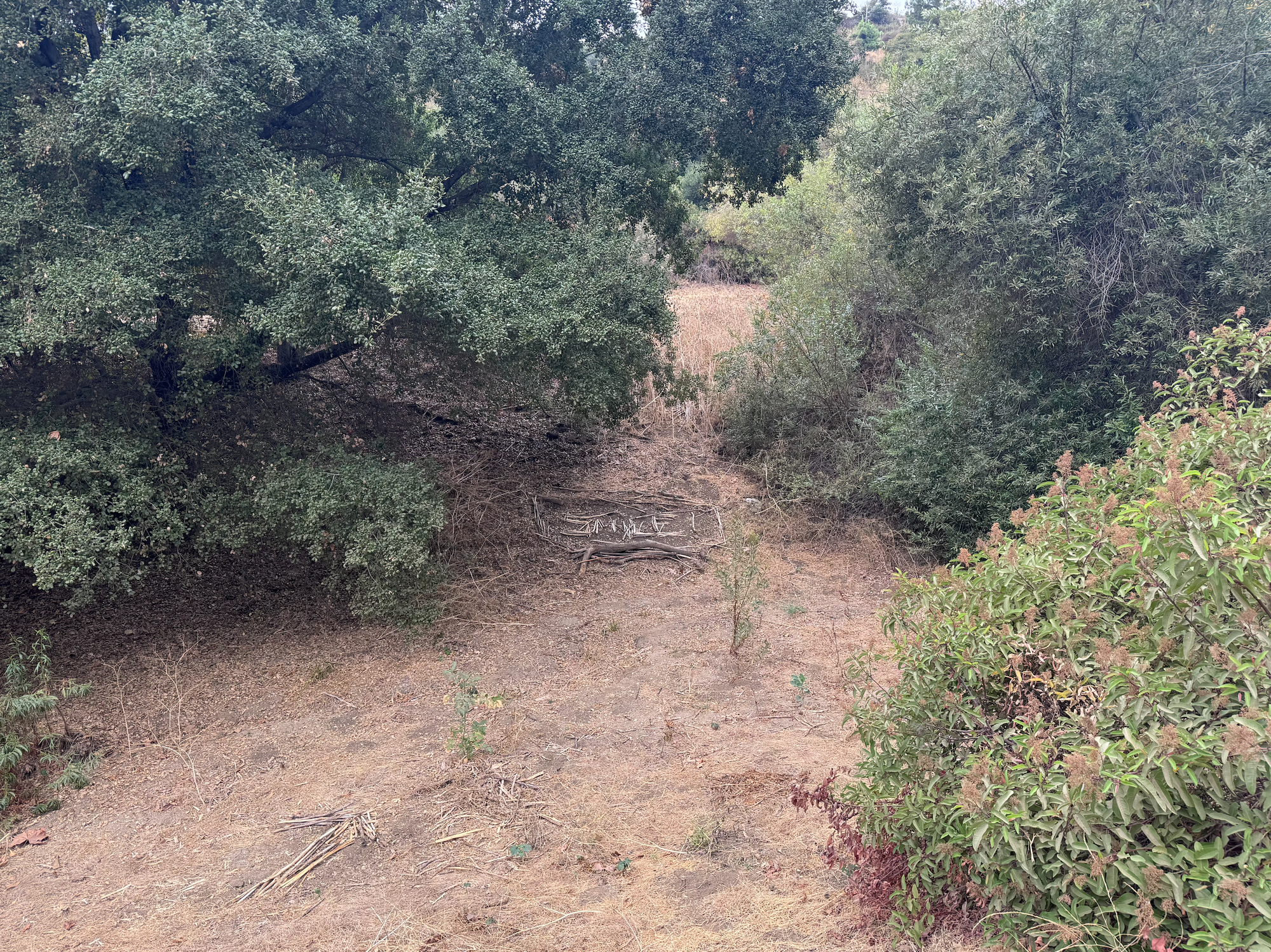 SMILE written in twigs