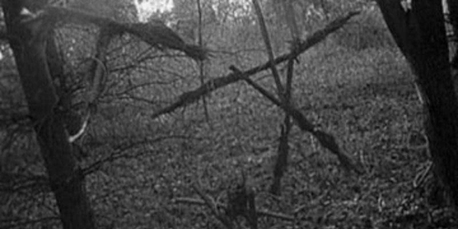 Blair Witch Project scene - sticks hanging in trees