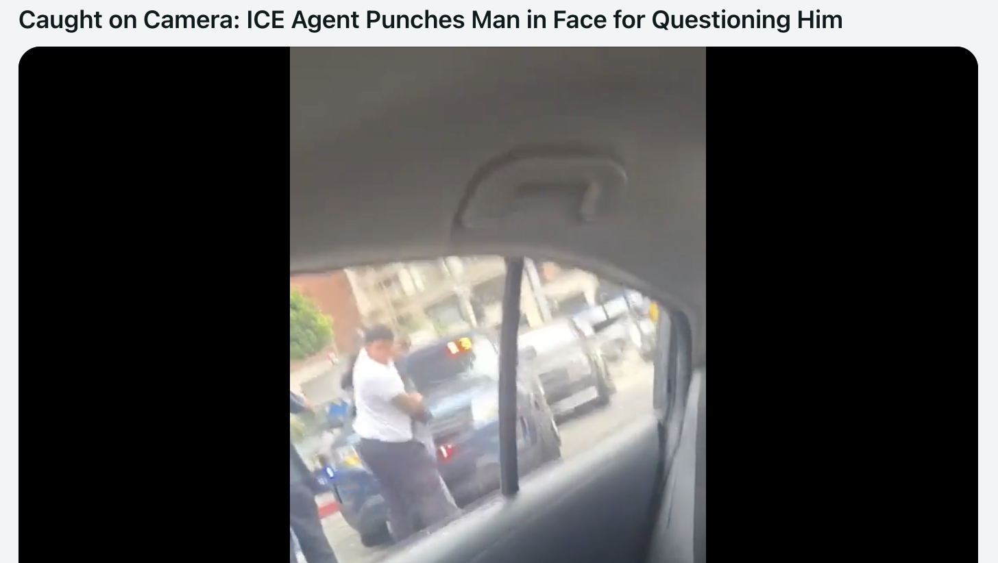 "Caught on Camera: ICE Agent Punches Man in Face for Questioning Him"