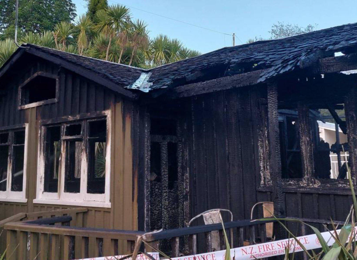 WTF is Going On in Tauranga?