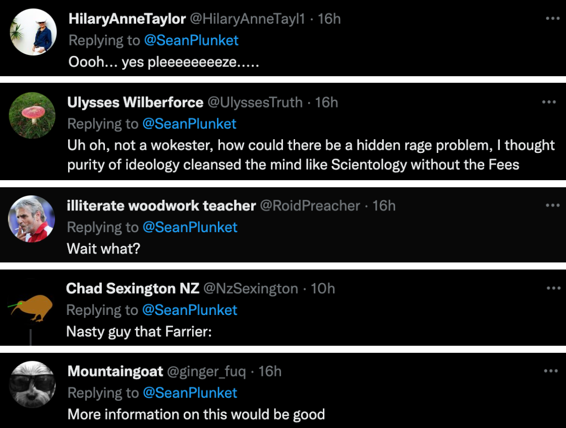 Sean Plunket Defames Me