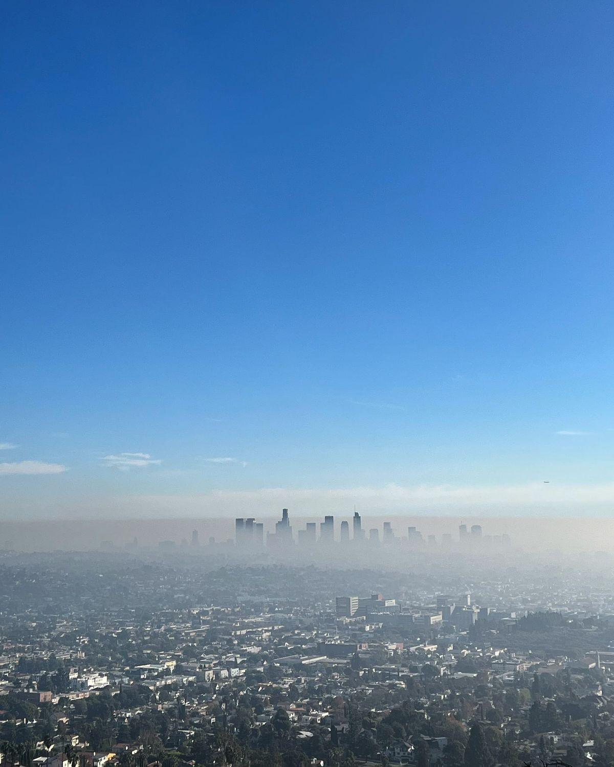 The schadenfreude of anti-vaxxer deaths