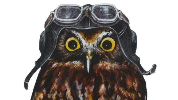 All of Josh Drummond's Columns