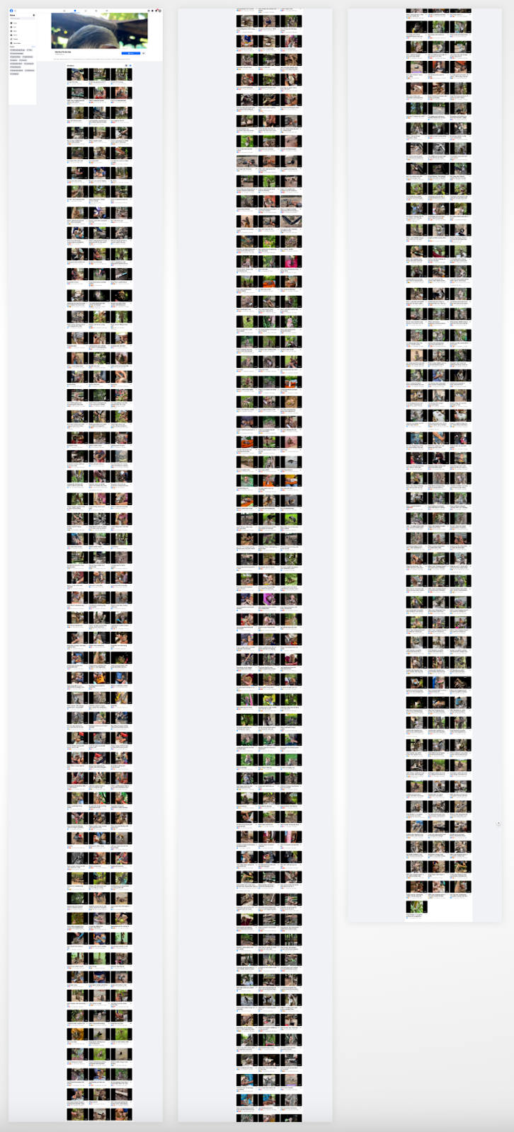 Facebook Has an Animal Torture Empire