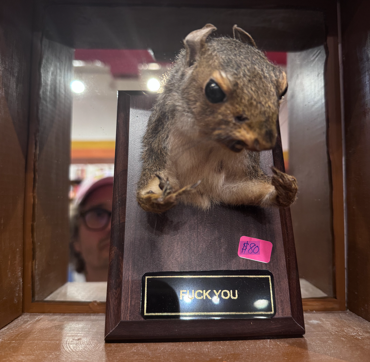 A Squirrel's Revenge