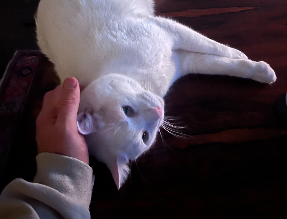 Pure Unadulterated Charge