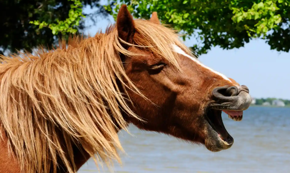 Twitter is dead, long live Twitter!