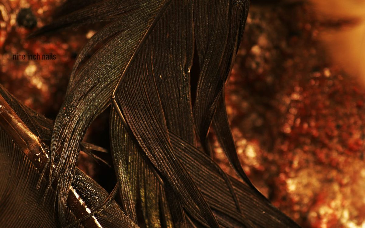 Algorithms Are Eating Our Culture