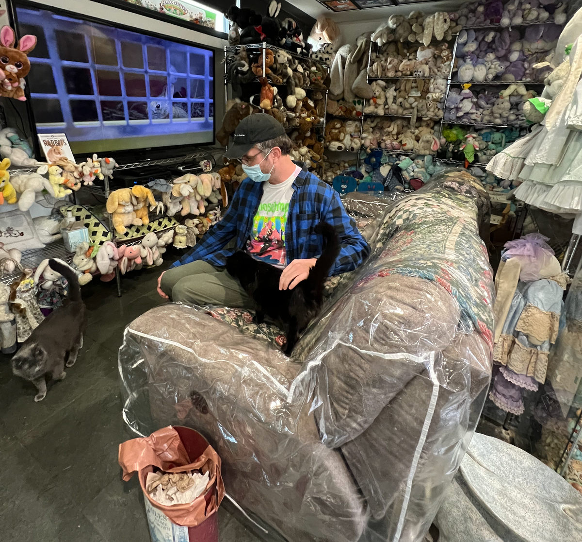 Rabbit Holes at the Bunny Museum